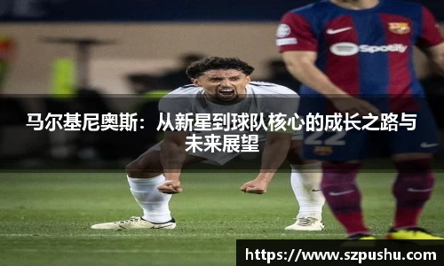 mk体育官网